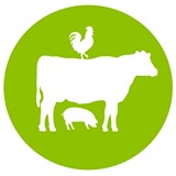 Good Earth Chicago